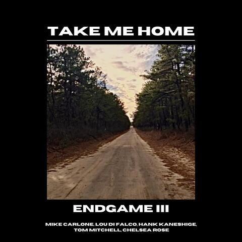 Endgame III: Take Me Home