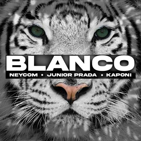 Blanco