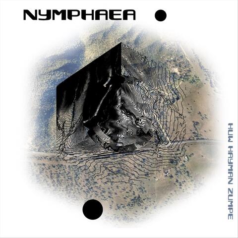 Nymphaea