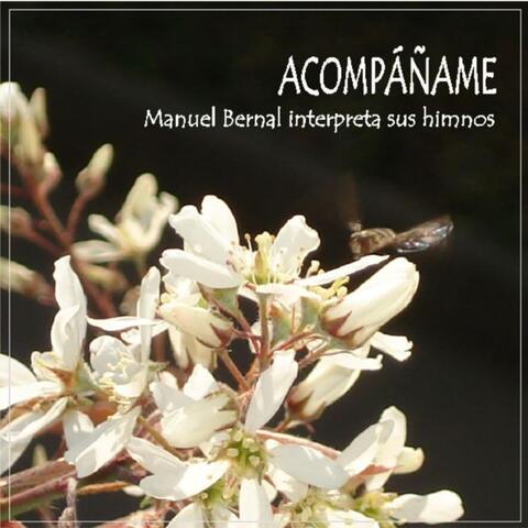 Acompáñame