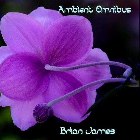 Ambient Omnibus