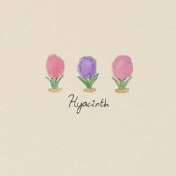 Hyacinth