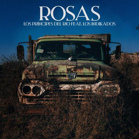 Rosas (feat. Los Indikados)