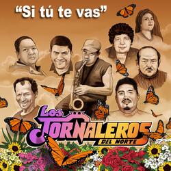 Si Tú Te Vas