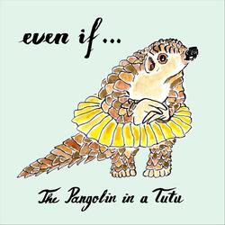 The Pangolin in a Tutu