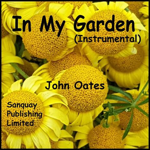In My Garden (Instrumental)
