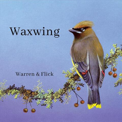 Waxwing