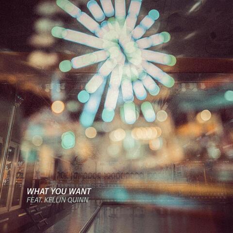 What You Want (feat. Kellin Quinn)