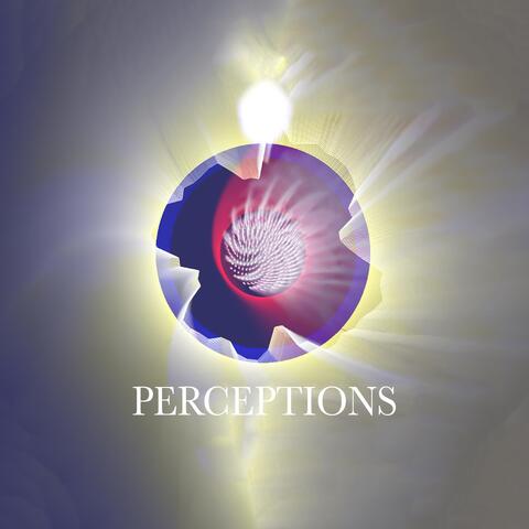 Perceptions