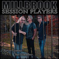 Never Gonna Say Goodbye