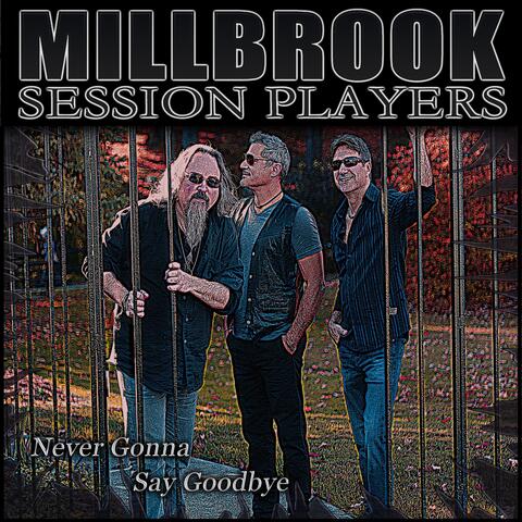 Never Gonna Say Goodbye