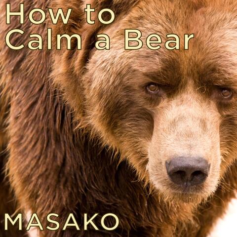 How to Calm a Bear