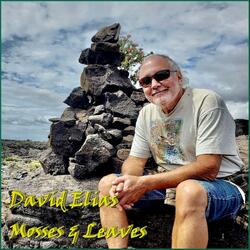 Mosses & Leaves