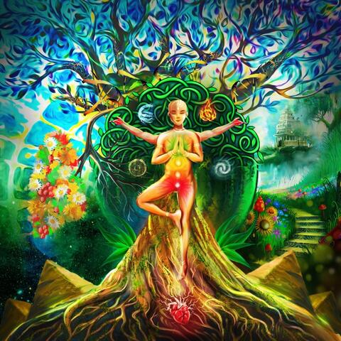 Healing Pyramid: From Cell to Organism