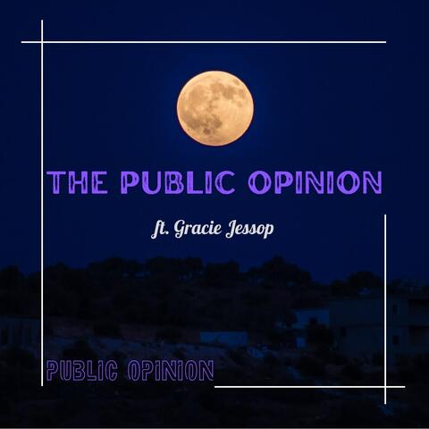 The Public Opinion