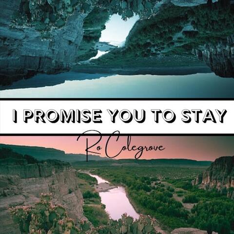 I Promise You to Stay