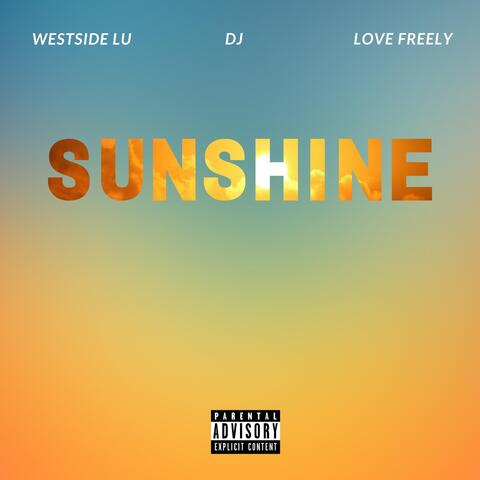 Sunshine (feat. Love Freely & DJ)