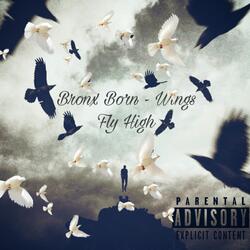 Wings Fly High