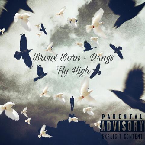 Wings Fly High