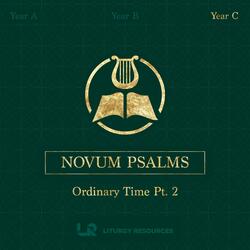 Assumption Vigil (Practice Track)