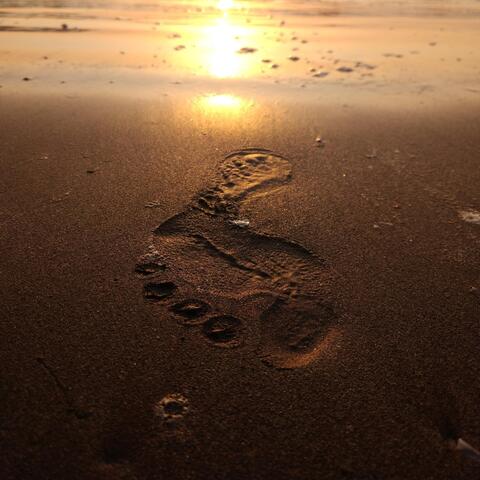 One Foot Before the Other