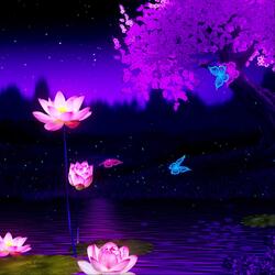 Soothing Sleep Meditation