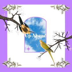 Up Ahead
