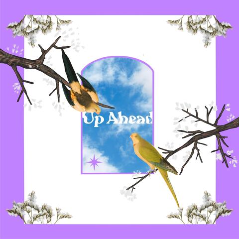 Up Ahead