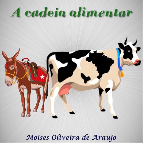 A Cadeia Alimentar