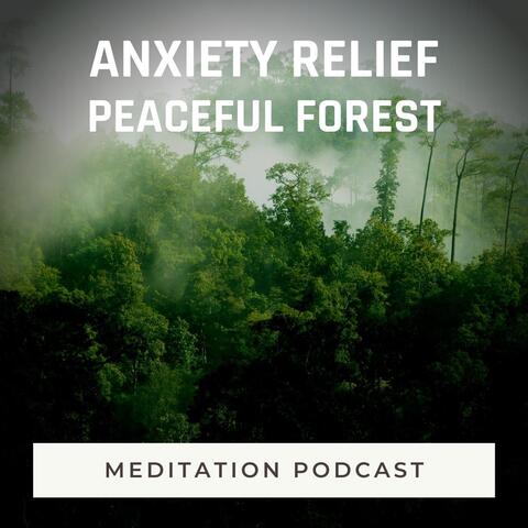Meditation Podcast: Anxiety Relief (Peaceful Forest)