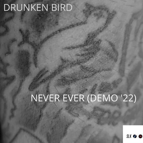 Never Ever (Demo '22)