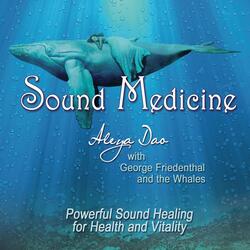 Sound Medicine: Phase One (feat. George Friedenthal)