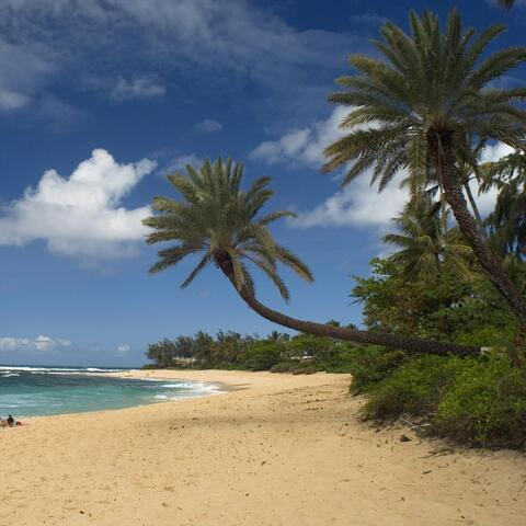 Playa De Oro