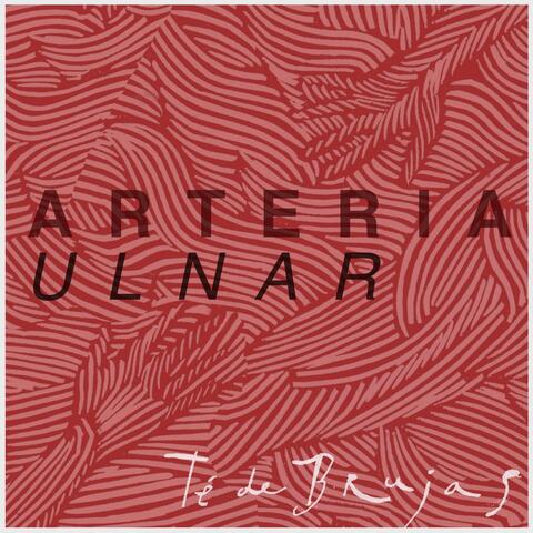 Arteria Ulnar