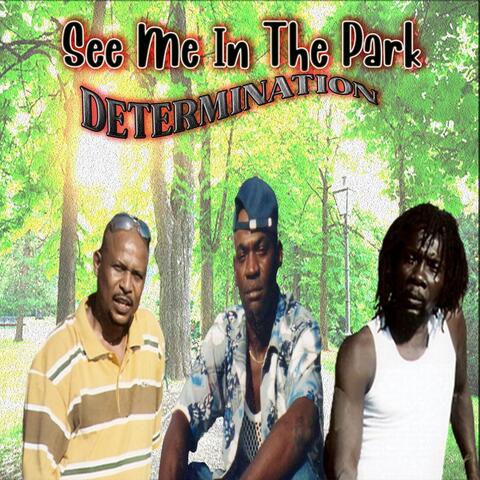 See Me in the Park (Live)
