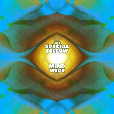 Mind Wipe