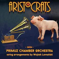 All Said and Done (feat. Primuz Chamber Orchestra)