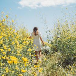 Speaks to Your Heart