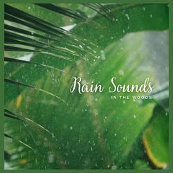Rain Sounds in the Woods, Pt. 07