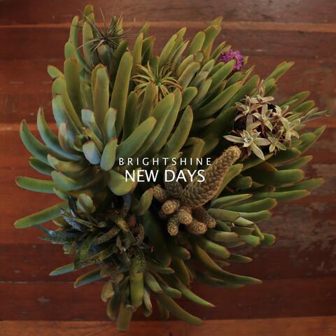 New Days