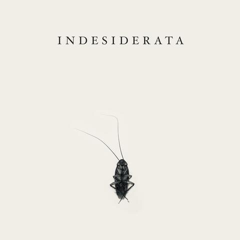 Indesiderata