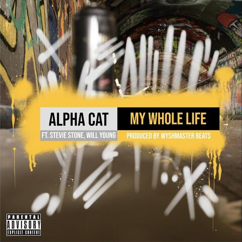 My Whole Life (feat. Stevie Stone & Will Young)