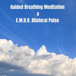 Brow 3rd Eye Chakra 6 Guided Breathing with Voice - Gradually Slower for Meditation and Parasympathetic Shift to Heal Complex Ptsd and Trauma
