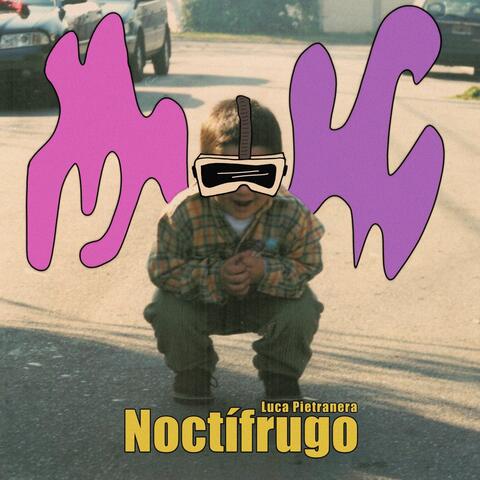 Noctífrugo