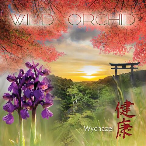 Wild Orchid