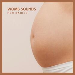 Womb Sounds for Babies, Pt. 43