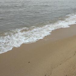 Pure Sound of Sea Waves