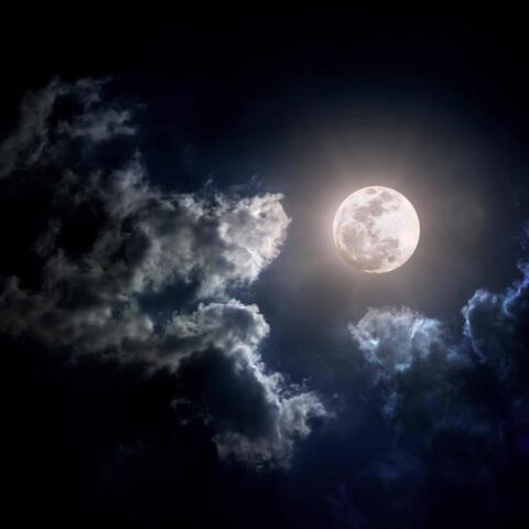 Silver Moon