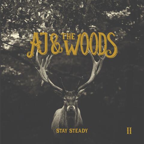 Stay Steady