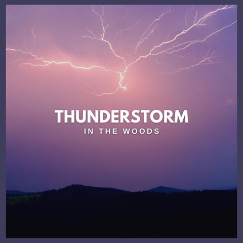 Thunderstorm in the Woods